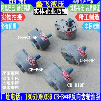 CW6163B/CW6180/CW6280大连安阳沈阳CB-B4F/B10F/B6F车床油泵FTH