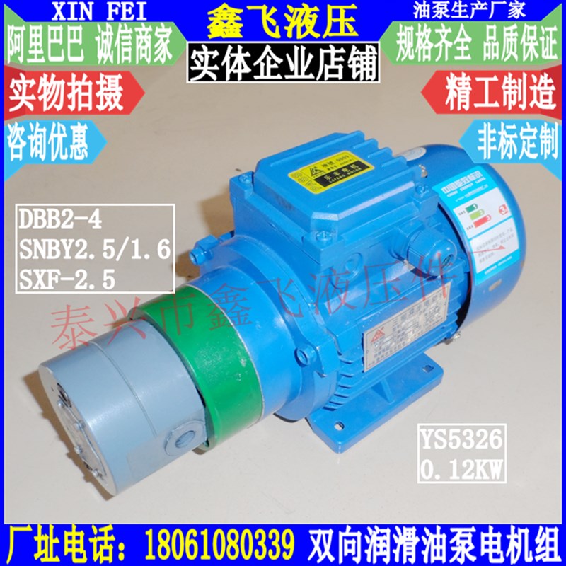 DBB2-4双向润滑油泵电机组合120W YS5326 TXSX-3.3齿轮油泵装置