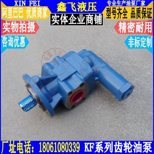 DK4/DK6/DK10/DK12/DK16/DK20/DK25/DK32/DK40输送齿轮油泵RF