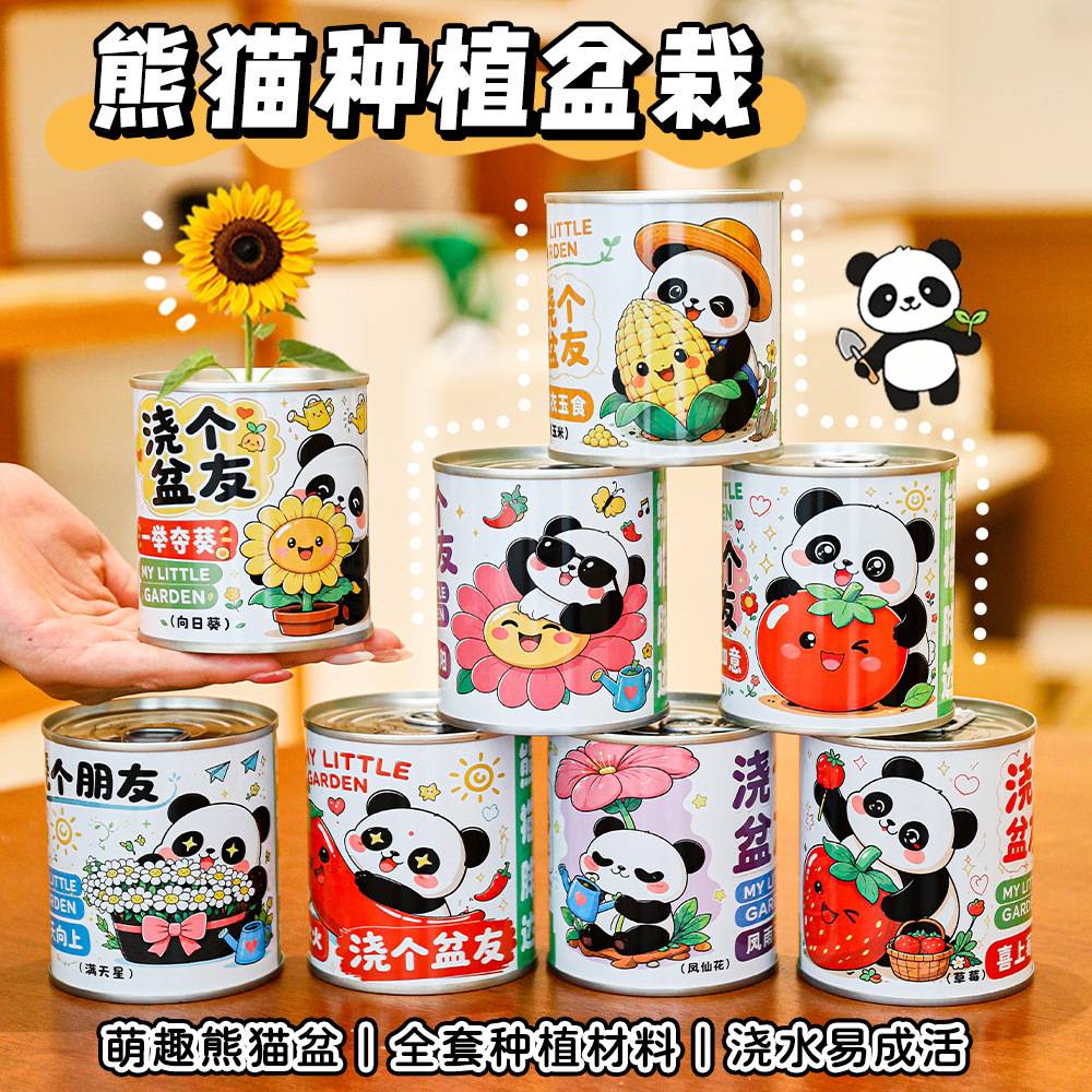 儿童可爱熊猫种植小盆栽小学生创意礼品手工DIY植物绿植罐头盆栽