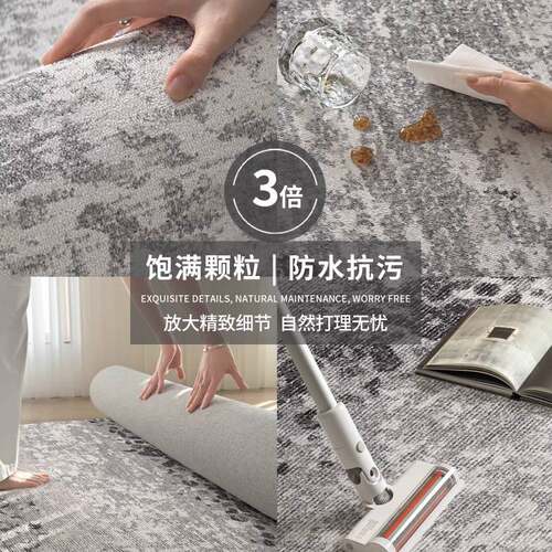 意式客厅地毯免洗可擦轻奢高级防水极简现代卧室沙发茶几地垫防滑