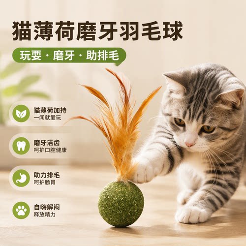 猫薄荷羽毛逗猫棒自嗨磨牙排毛