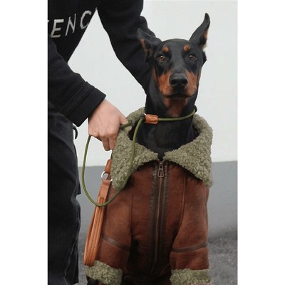 个性大狗衣服秋冬加绒宠物翻领皮衣金毛边牧拉布拉多大狗衣服潮
