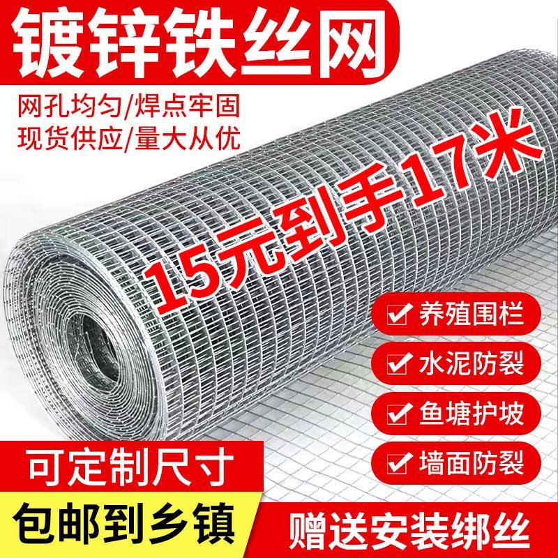 镀锌铁丝网珊拦隔离网钢丝网园艺围栏养殖网抹墙网养鸡护栏篱笆