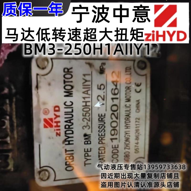 宁波ziHYD中意液压摆线马达BM3-250-K10AIIY2 315-PAY8 400-H5A1Y