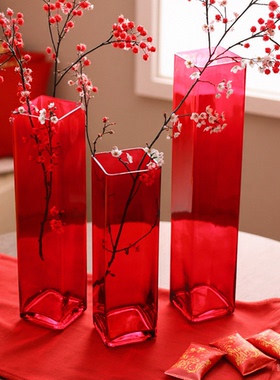 大红色方形玻璃花瓶轻奢高级感大号落地大口径插花高花瓶家居装饰