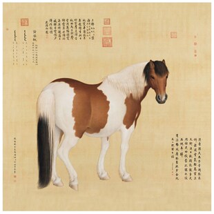 清郎世宁十骏图新中式装饰画花鸟画客厅沙发床头玄关茶楼挂画卷轴