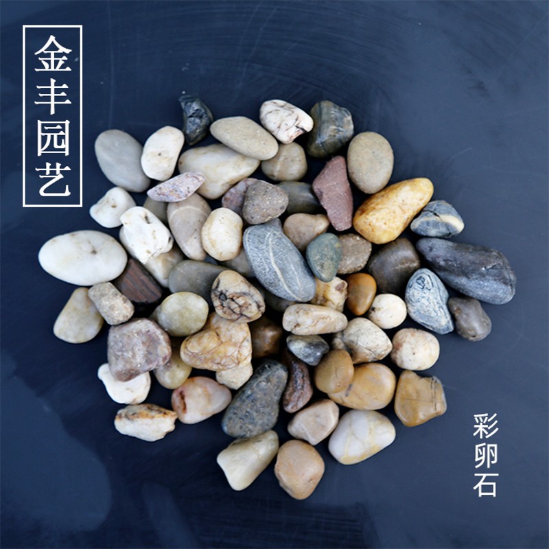 800g自然鱼缸花盆睡莲盆栽装饰造景园艺热销小白彩石子鹅卵石铺面