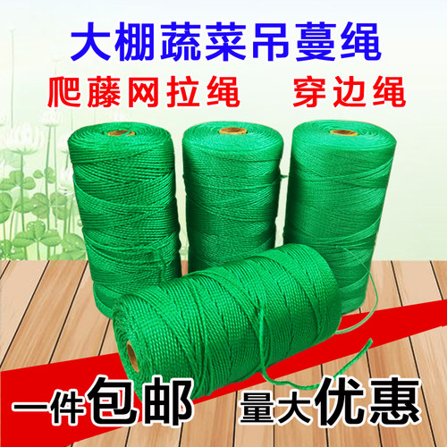 大棚黄瓜西红柿吊秧绳番茄吊蔓绳爬藤网拉绳防老化塑料绳子农用