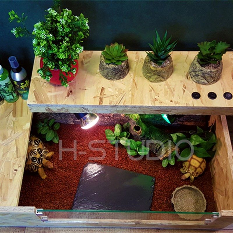 包邮 OSB爬虫宠物陆龟饲养箱 开放式散养爬箱 敞开式露天箱子,宠物/宠物食品及用品,爬宠缸/箱,淘宝优惠券,粉丝福利购,淘宝优惠卷