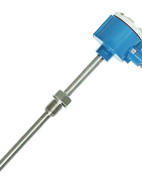 防爆双支热电阻 wzpk2-241 pt100 12 插深200mm ExdIICT6 m27*2