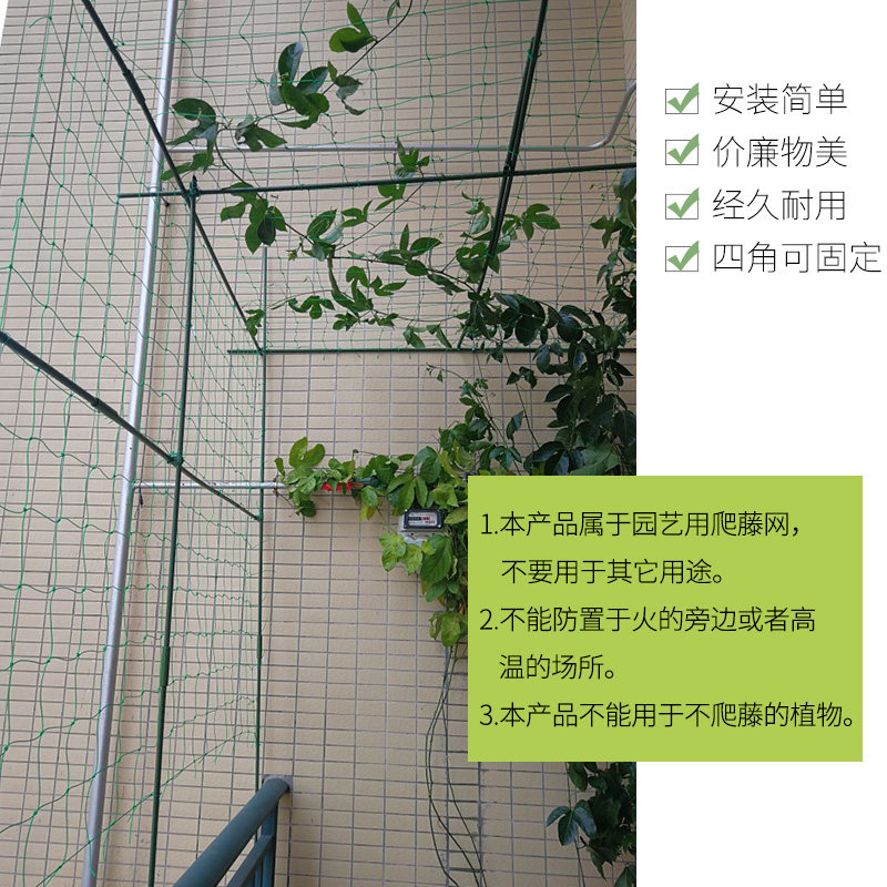 爬藤网种植网植物攀爬园艺家用架粗农用豆角葡萄黄瓜丝瓜百香果网