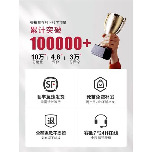 铁树盆栽植物小树苗苏铁四季常青室内阳台盆景龙铁好养绿植花卉