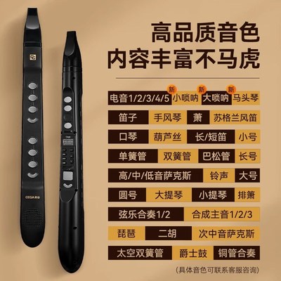 前谷cega电子吹管初学迷你笛子专业演奏级乐器大全初学入门萨克斯