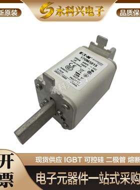 巴斯曼快速熔断器保险丝170M3814 3815 3816 3817 3818 3819 3901