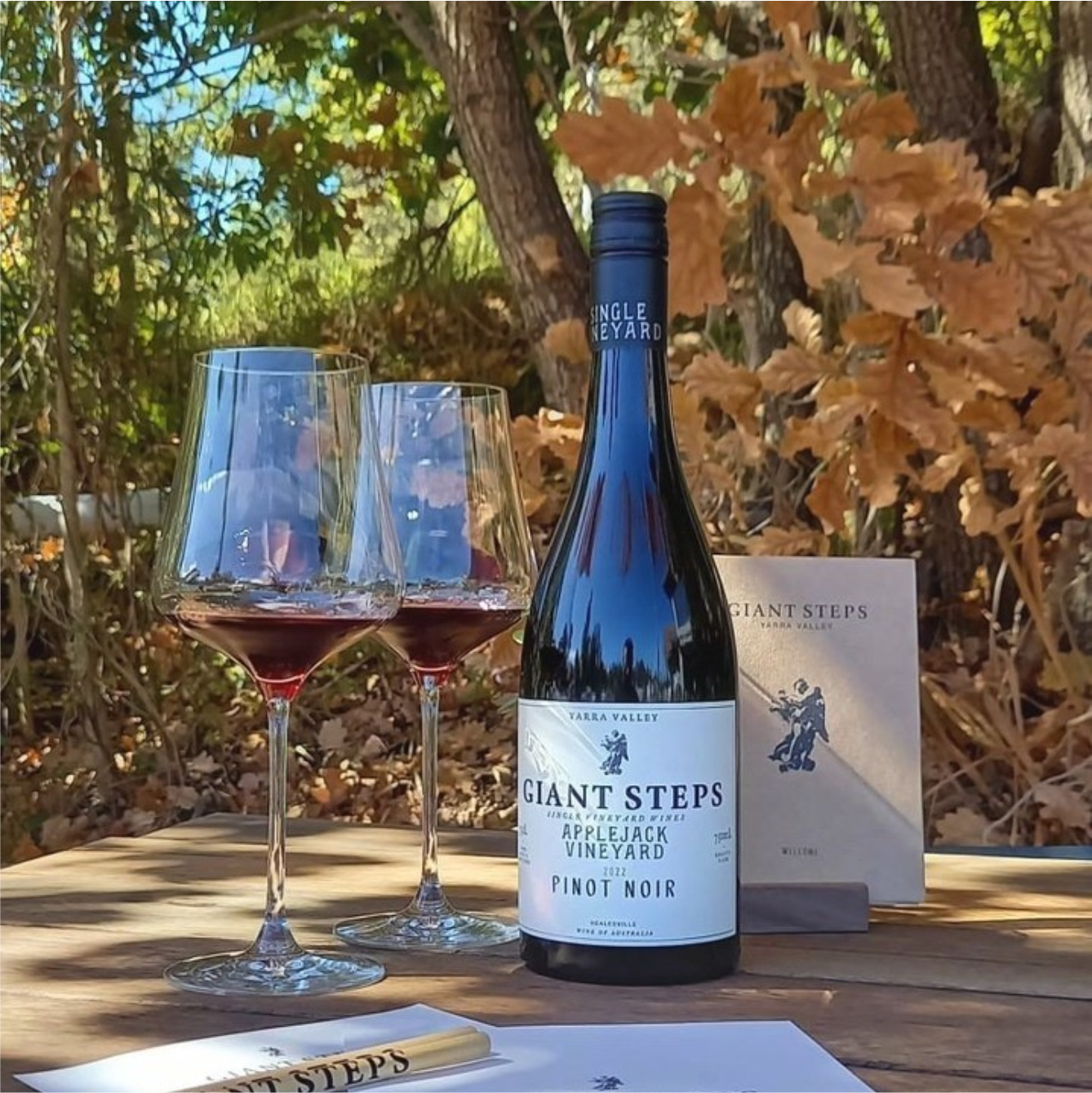 雅拉谷巨人步伐单一园黑皮诺干红