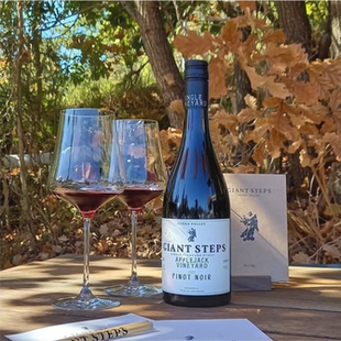 澳洲黑皮诺一哥 Giant Steps雅拉谷巨人步伐单一园干红葡萄酒送礼