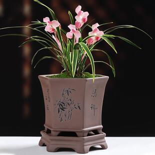 创意室内家用文竹君子兰专用盆特价 紫砂兰花花盆复古粗陶透气个性