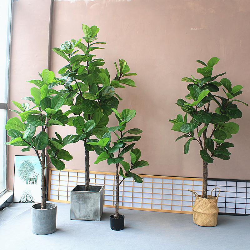 装仿真植软物琴叶榕绿植高005端北欧装地花艺落美陈饰茶室客厅中