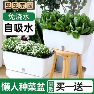 懒人自动吸水种菜盆长条方形花盆蔬菜种植箱家庭阳台花槽多肉养花
