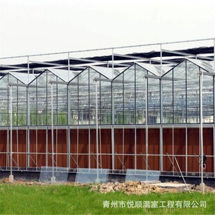 日光温室玻璃文洛温室现代化温室大棚智能温室玻璃智慧农业种植
