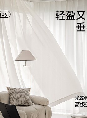 C位梦幻亮丝纱白色纱帘布灵感高级白纱客厅阳台卧室飘窗窗纱柯桥