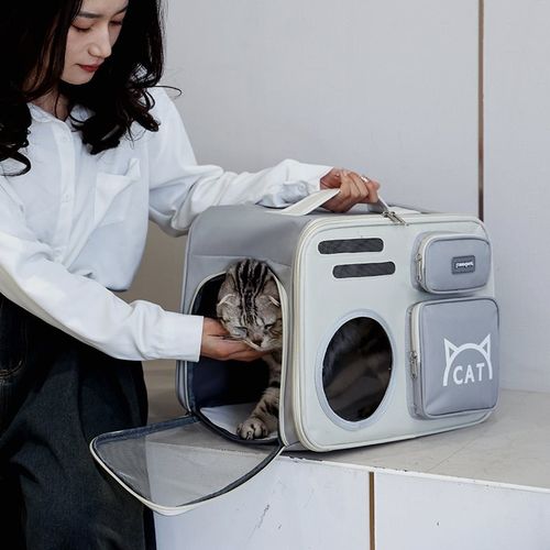 宠物背包大容量猫咪双肩包双肩外出背包手提透气可折叠便携宠物包