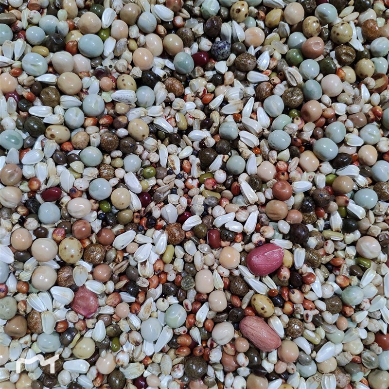 幼鸽粮食无小麦无玉米10斤装赛鸽信鸽肉鸽观赏鸽营养饲料鸟食