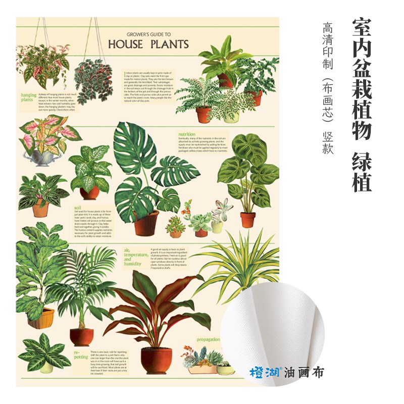 室内盆栽植物绿植竖款高清喷绘简约现代艺术油画布画芯装饰画图片