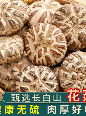 东北长白山特产花菇干货精选大菇