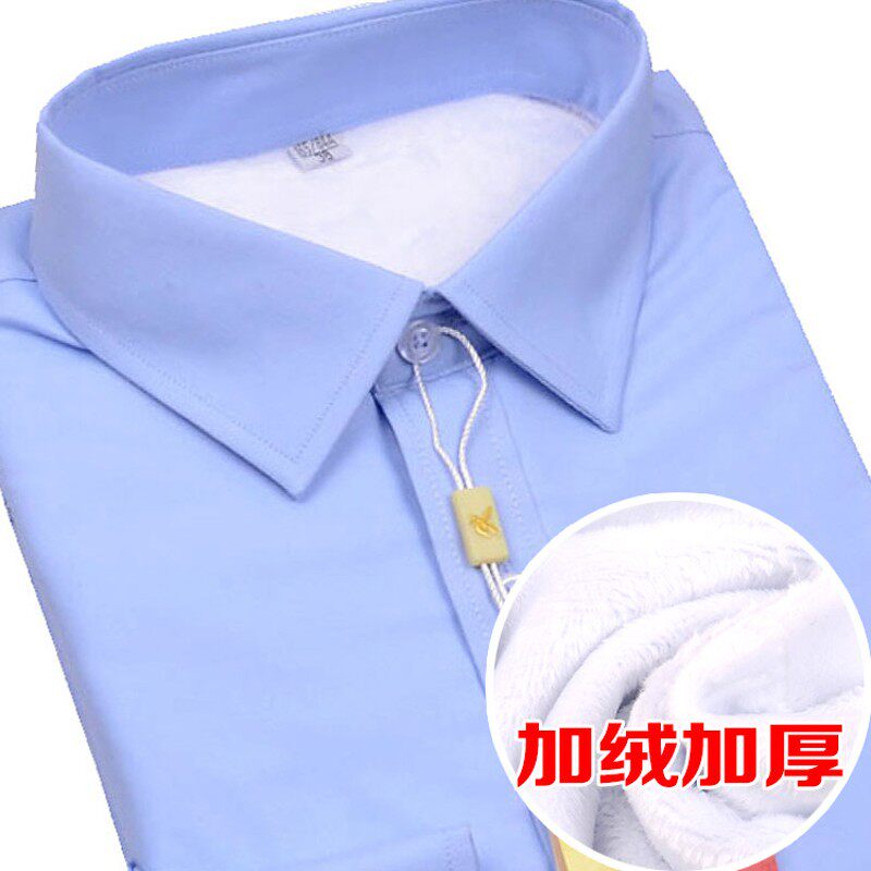 女士净面天蓝色i保暖衬衫长袖加绒加厚工商税务大码工装纯色白衬