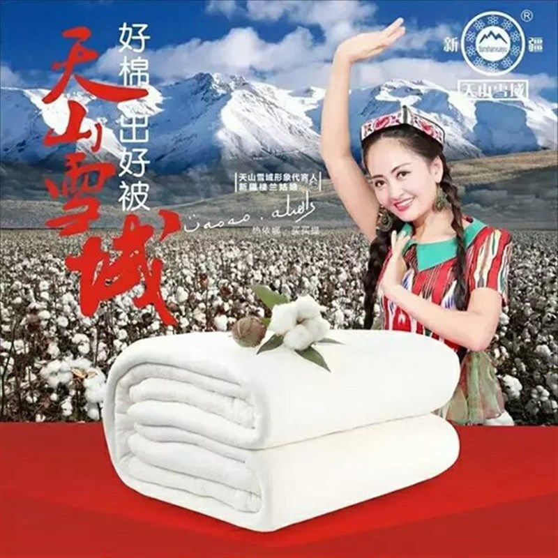 新疆长绒棉花被芯天山雪域棉胎B冬被棉絮垫被千层无网棉被芯包邮