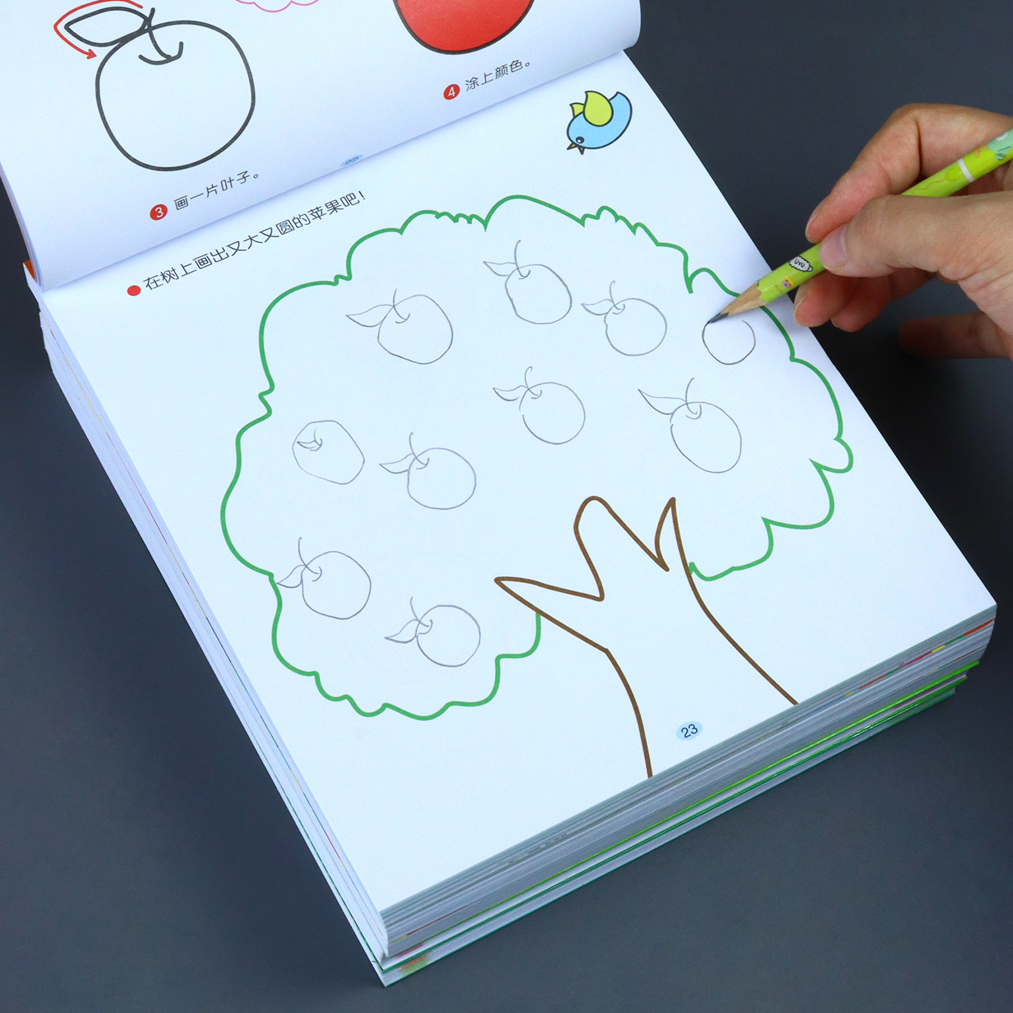 儿童分步学画画涂色本