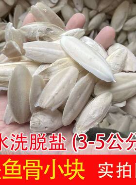海螵蛸小墨鱼骨乌贼骨 海蛸 鸟用龟用仓鼠宠物鹦鹉磨牙补钙 新货
