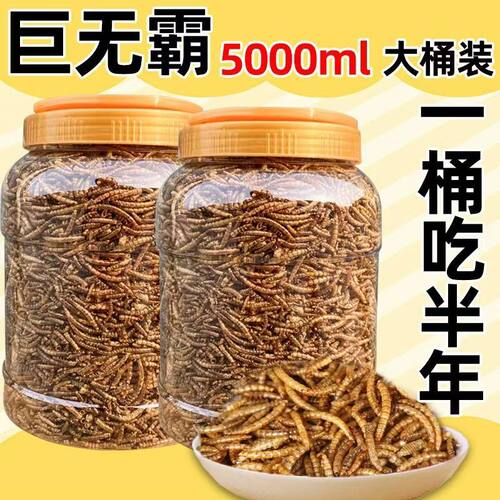 面包虫干黄粉虫干仓鼠粮食龟粮鱼食八哥鸟食芦丁鸡饲料宠物零食