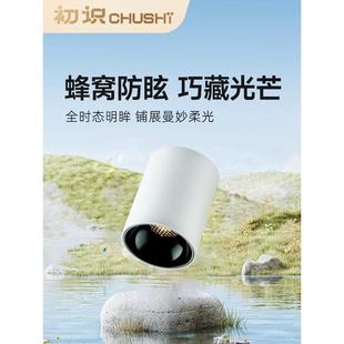 次介绍表面安装 筒灯客人家大厅背景墙射灯全光谱通道入口天花板射