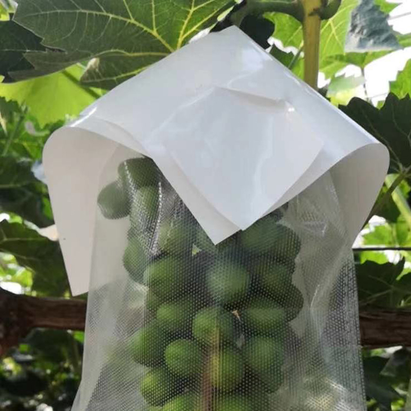 加厚葡萄伞罩无纺布袋葡萄袋子三色葡萄果袋套袋袋防日灼防晒