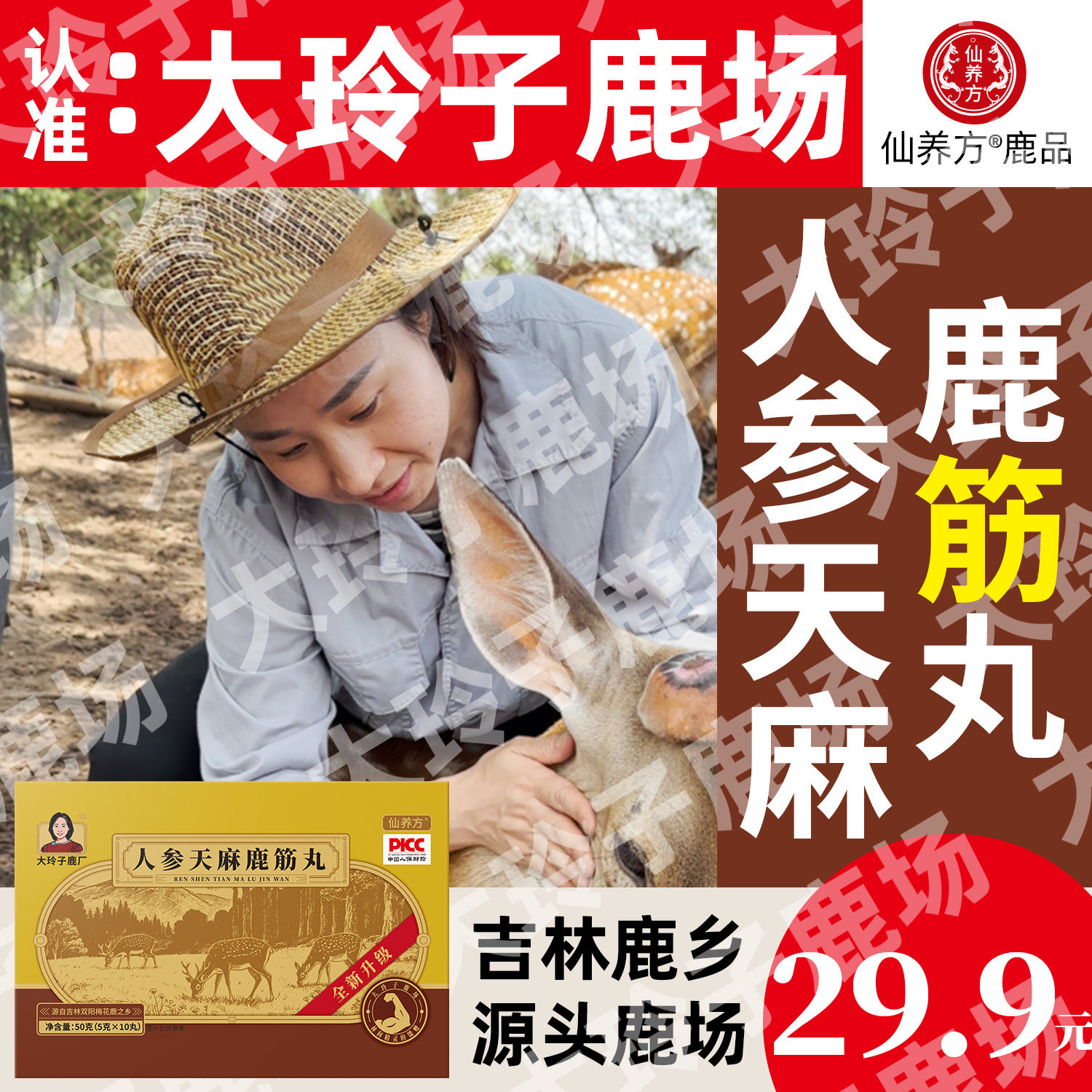 仙养方人参天麻鹿筋丸