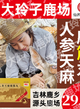 仙养方人参天麻鹿筋丸