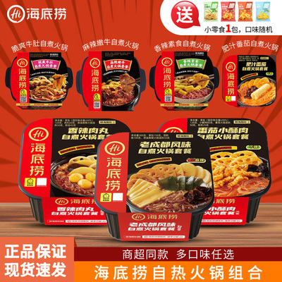 海底捞自热自煮火锅方便速食