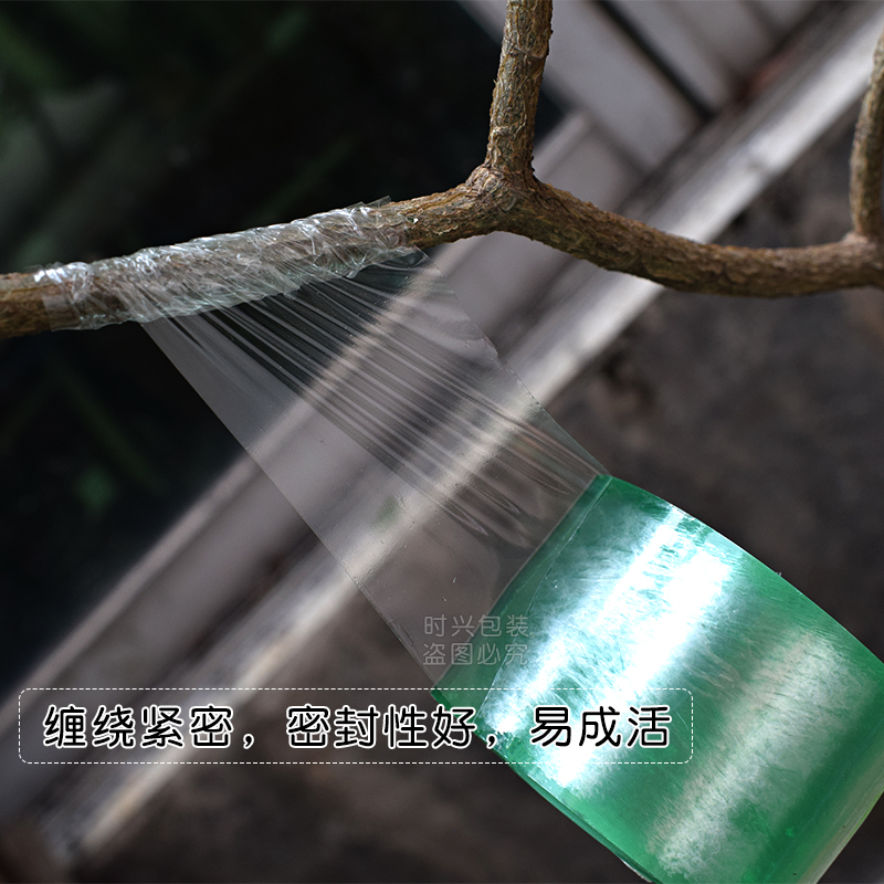 果树嫁接膜3cm 树苗包扎带无需打结自粘性缠绕薄膜 pvc透明膜包邮