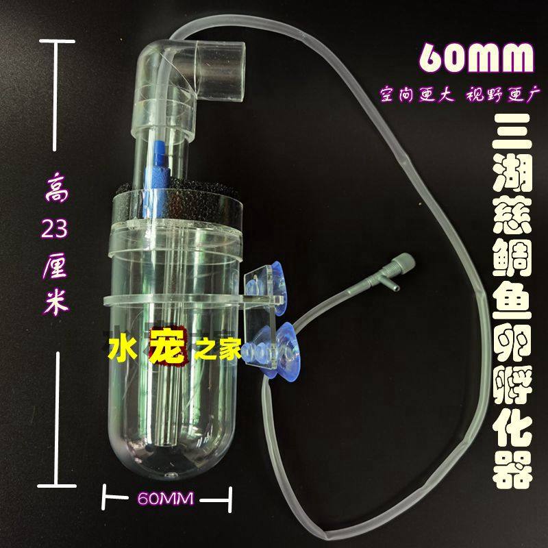 60MM三湖慈鲷鱼卵孵化器底栖异型热带鱼孵化器