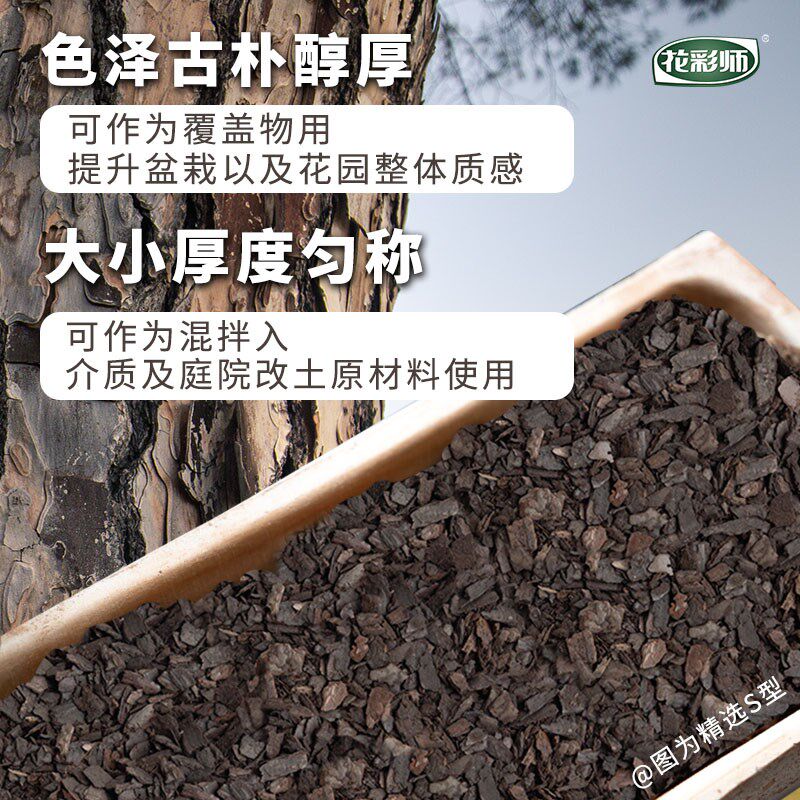 花彩师园艺发酵松鳞树皮有机覆盖物花园庭院盆栽植物兰科木本通用