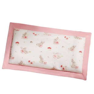 荞麦枕头婴儿专用幼儿园宝宝头型枕儿童0 1一3岁枕头套幼儿荞麦皮