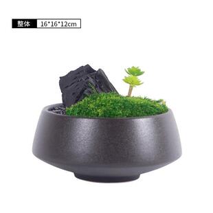 酒店大堂彷真花盆景永生苔藓花艺绿植茶室会议洽谈桌盆栽摆件装饰