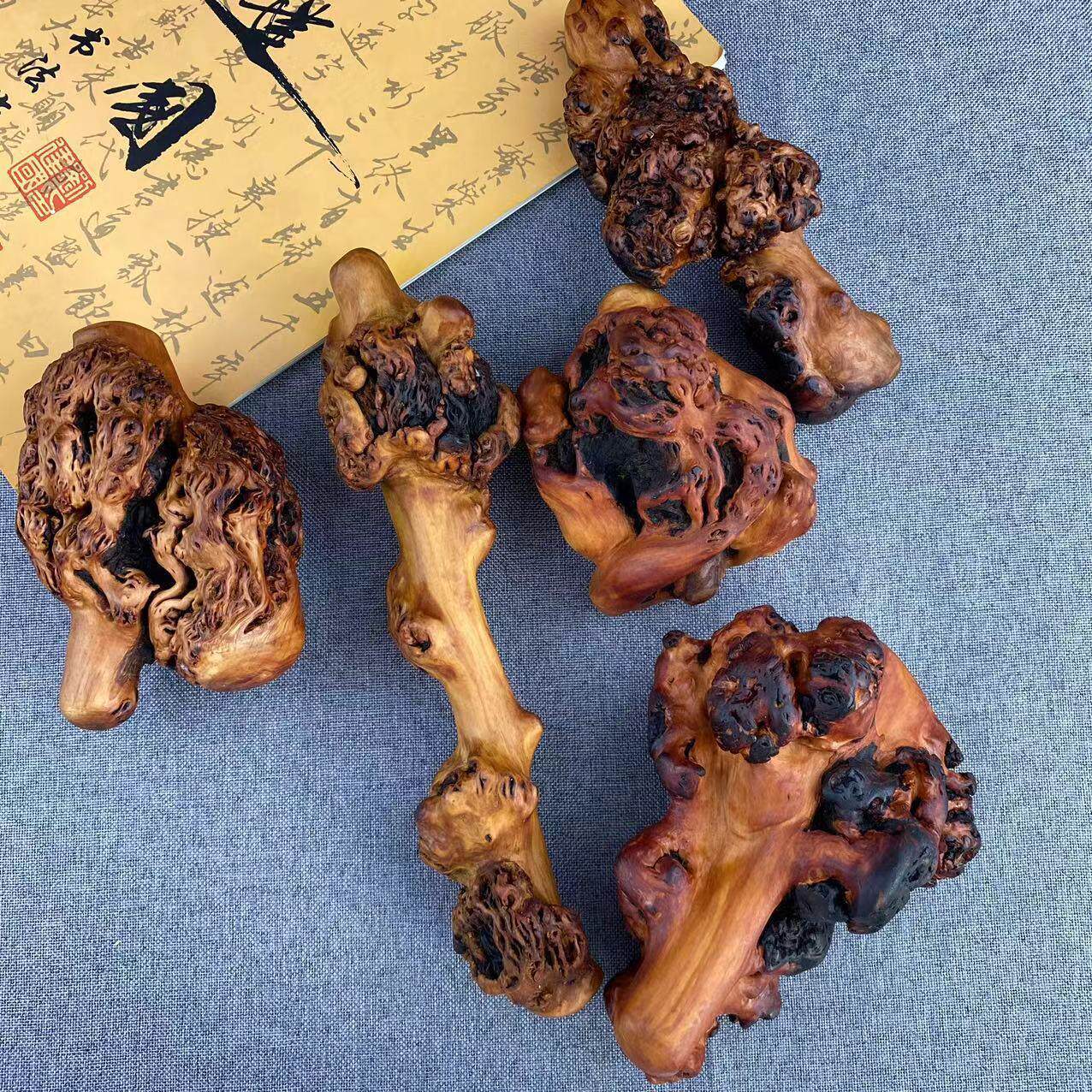 山茶木手把件麻梨疙瘩手把件 木制手把件黑果木手把件 随行根雕