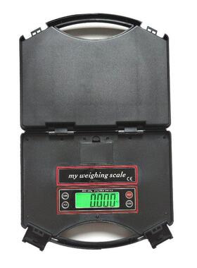 手提秤重ZRS可携式台精准电子秤家用料秤克重秤小型快理递包裹称