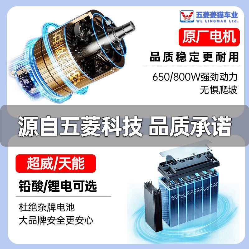 五菱菱猫新款老年人接送孩子代步车四轮电动车老人电动代步车双人