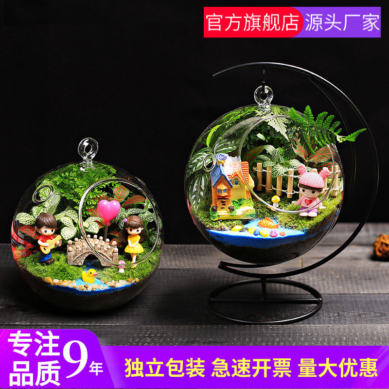 16c苔藓微景观生态双o孔吊瓶月亮架DIY材料包桌面迷你绿植物小盆