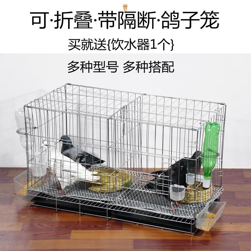 现货。加粗鸽子笼鸽子用品用具鸽子配对笼养殖笼子金属摺叠大